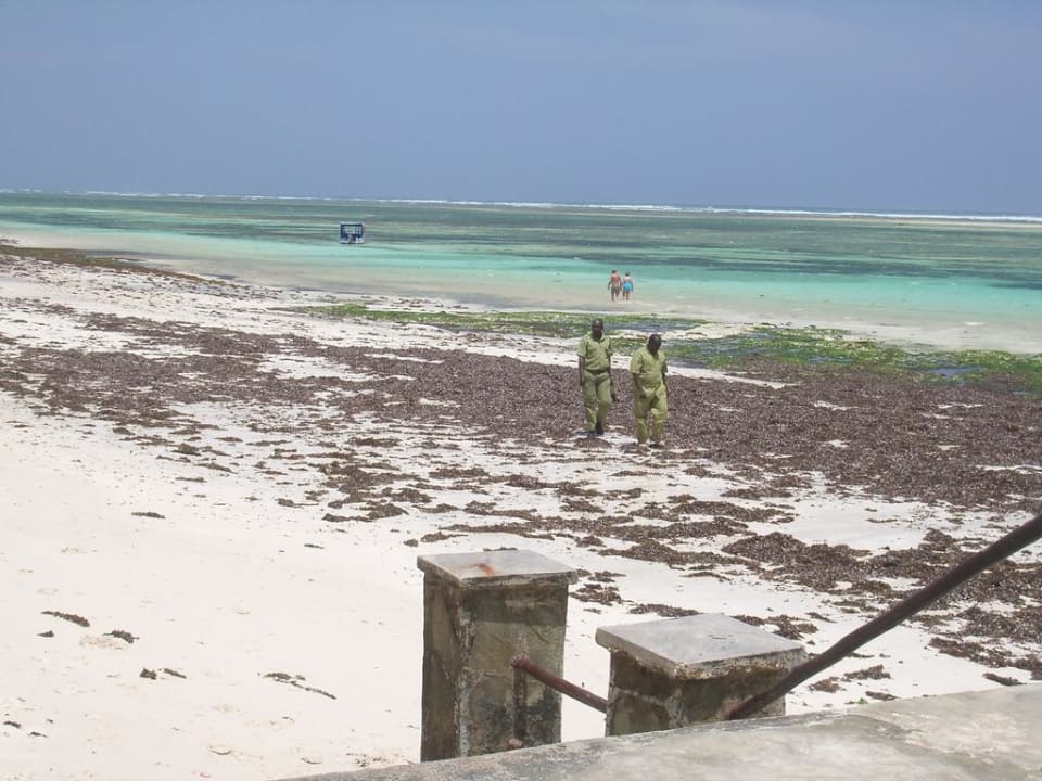 Odpływ i brzydkie wodorosty Leopard Beach Resort & Spa