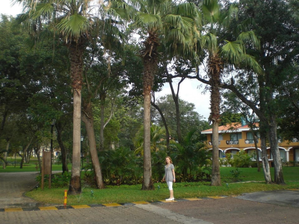 Hotelanlage Sandos Playacar Beach Resort