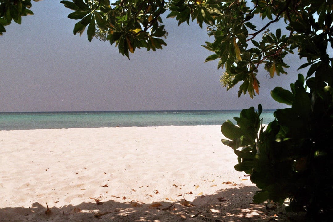 Strand an der Ostseite Summer Island Maldives