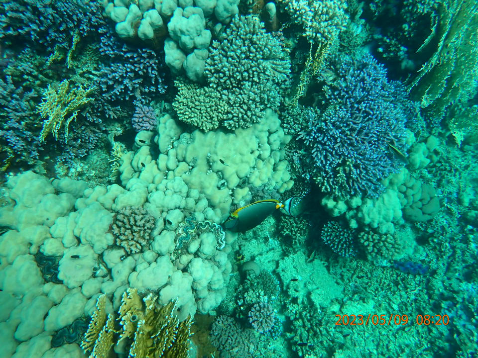 Sport & Freizeit Malikia Resort Abu Dabbab