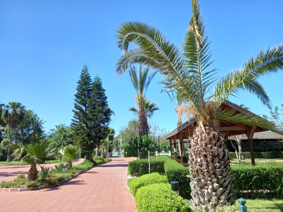 Gartenanlage Sunis Elita Beach Resort & Spa