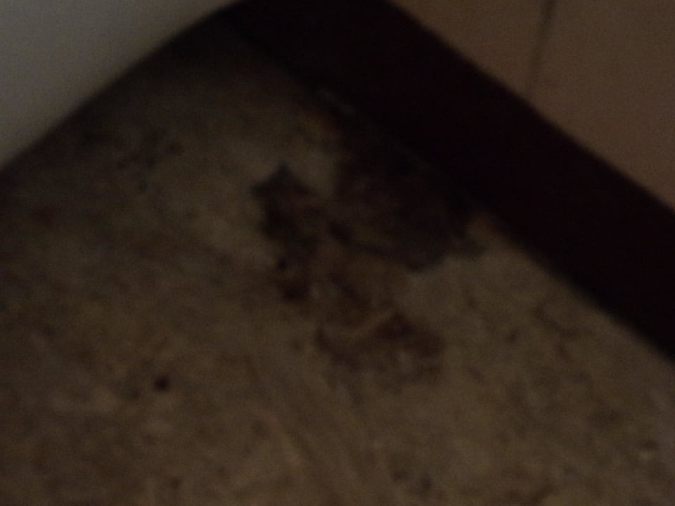 Im Badezimmer Novotel Goa Dona Sylvia Resort