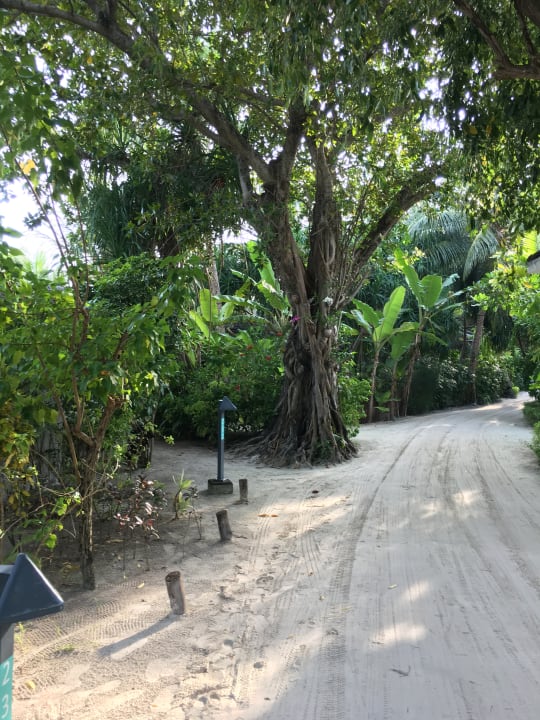Außenansicht LUX South Ari Atoll