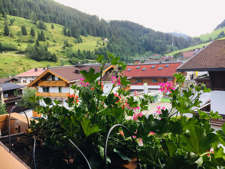 Ausblick Pension Bergkristall