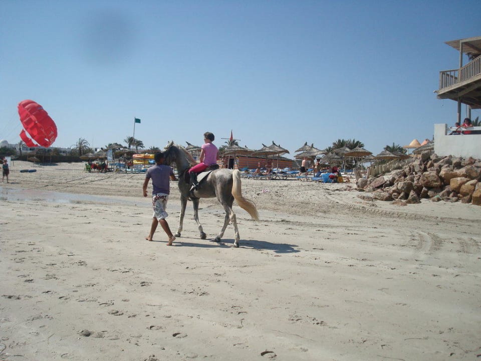 Reiten am Strand Caribbean World Thalasso Djerba