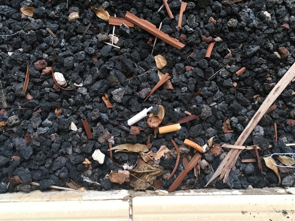 Stummel werden so entsorgt SBH Costa Calma Beach Resort