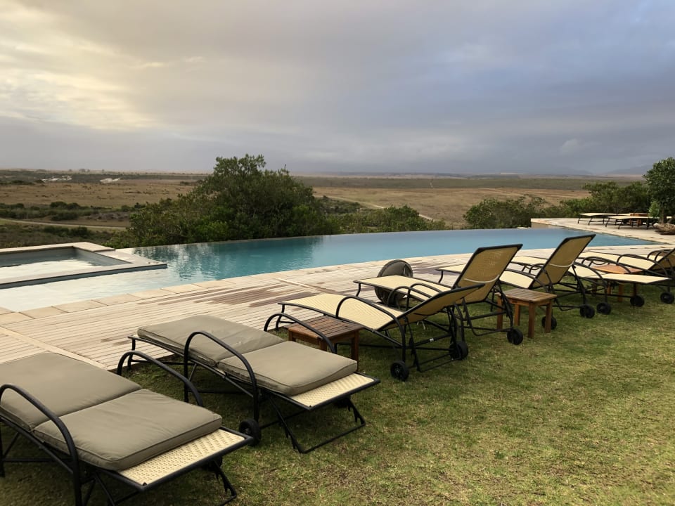 Pool Hotel Garden Route Game Lodge