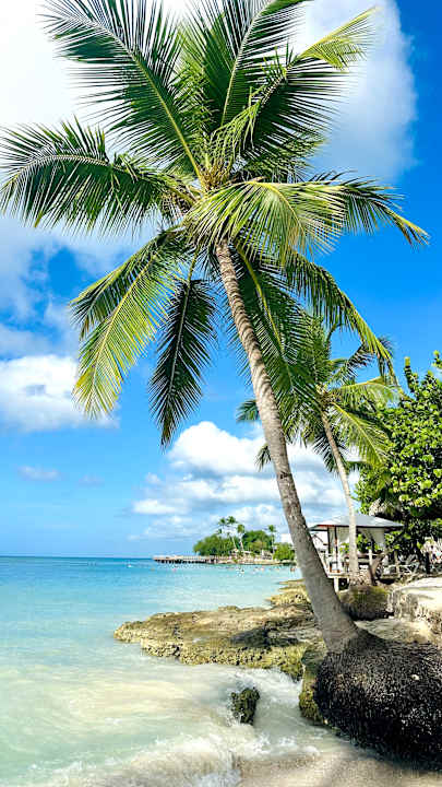 Strand Secrets La Romana Resort & Spa - Adult Only