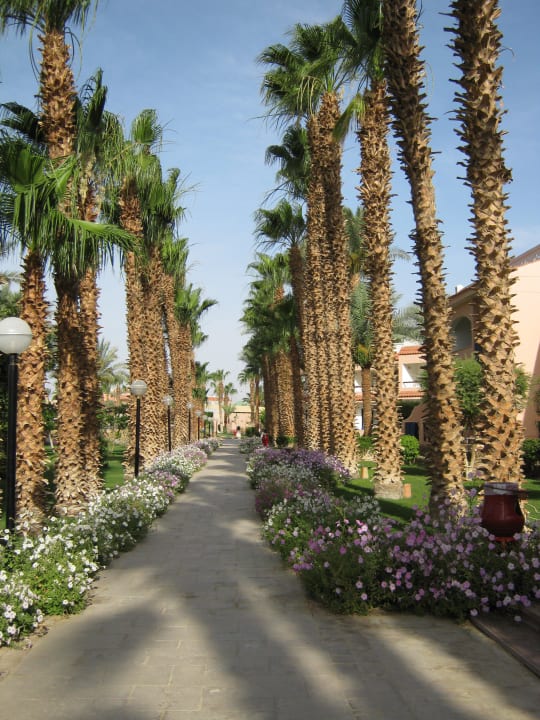 Geschmackvoll angelegt Beach Albatros Resort
