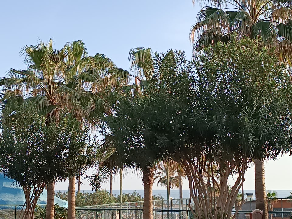 Gartenanlage Seher Kumköy Star Resort & Spa