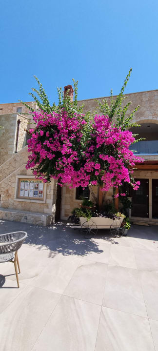 Gastro Cactus Beach