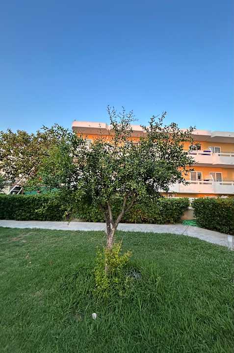 Außenansicht TUI KIDS CLUB Alex Beach