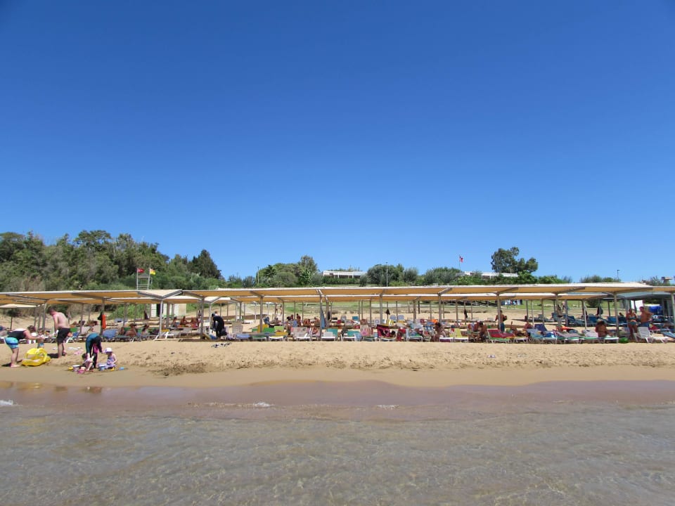 Liegen am Strand Club Sidelya Hotel
