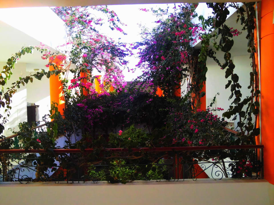 In Immenhof Fantazia Resort Marsa Alam