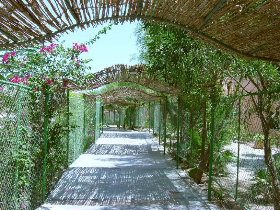 Weg zum Strand Jaz Makadi Oasis Resort
