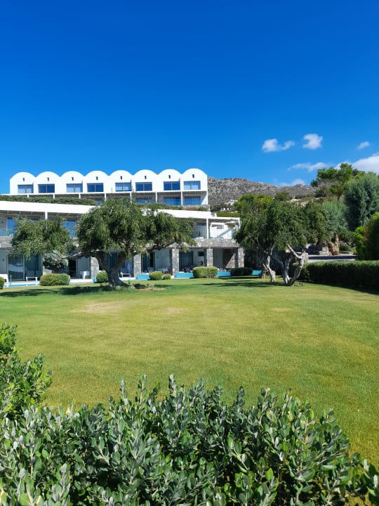 Gartenanlage Kakkos Beach Hotel