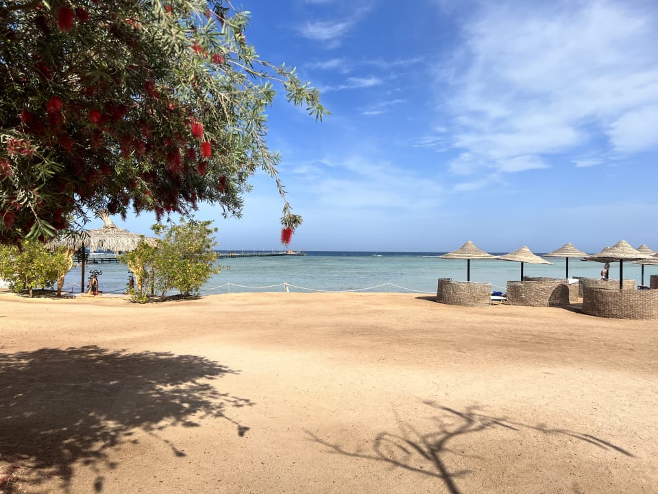 Strand TUI MAGIC LIFE Kalawy