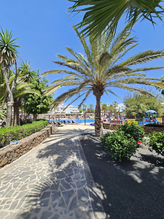 Außenansicht allsun App.-Hotel Albatros