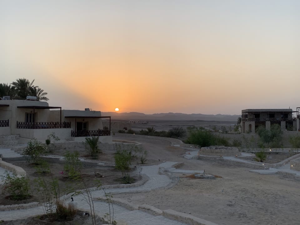 Außenansicht The Oasis Dive Resort