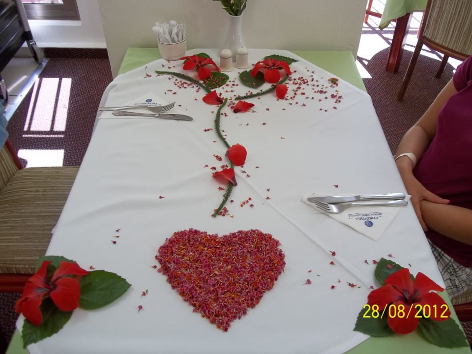 Blumendekoration Asteria Collection Side