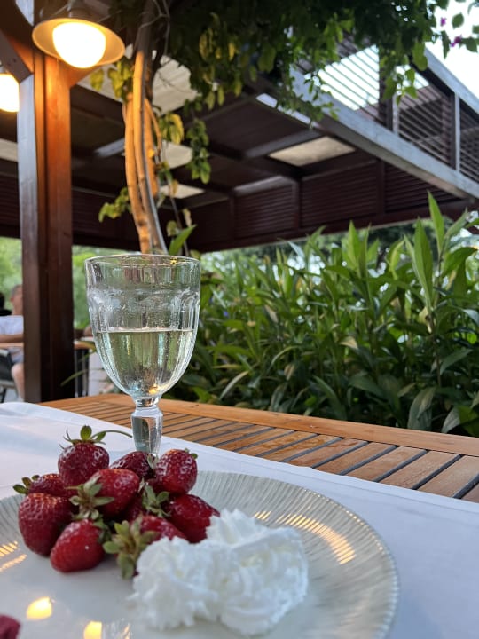 Gastro TUI MAGIC LIFE Beldibi +16