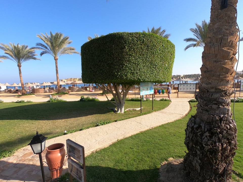 Außenansicht Steigenberger Coraya Beach - Adults only