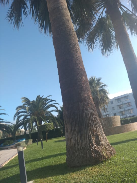 Gartenanlage allsun App.-Hotel Orient Beach