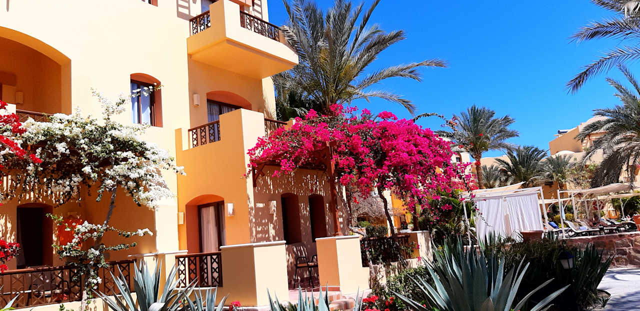 Zimmer Steigenberger Coraya Beach - Adults only