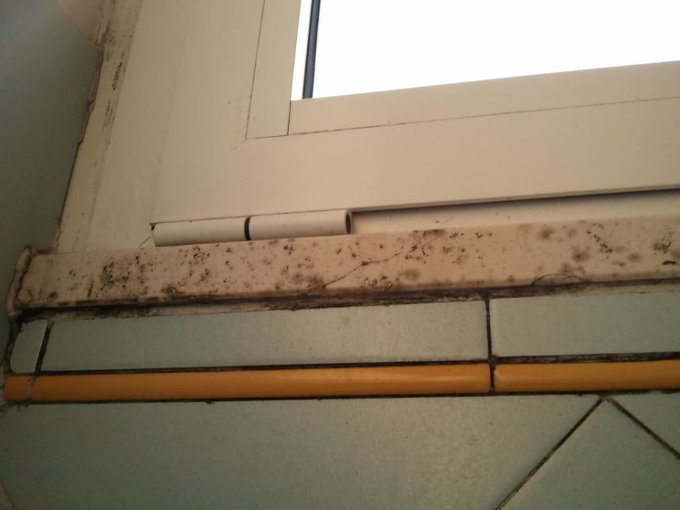 Achtung Schimmel! Hotel Lungomare