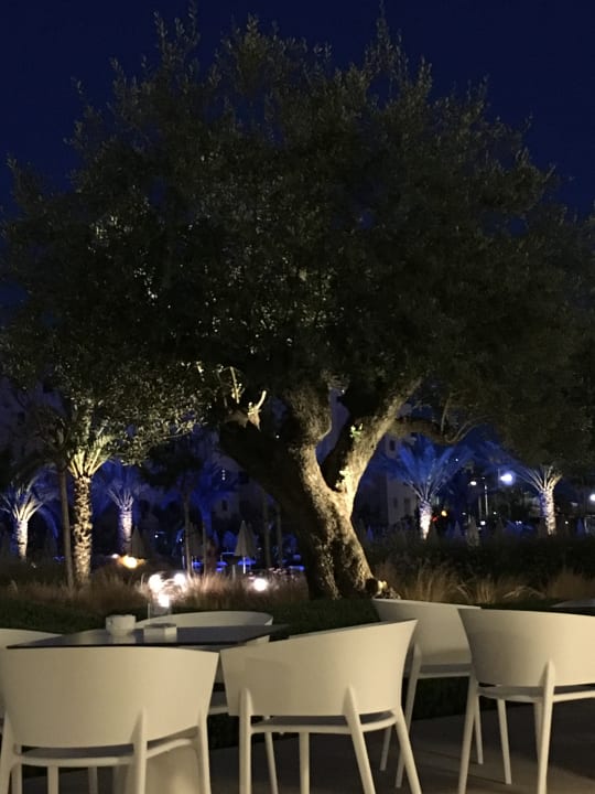 Außenansicht Hipotels Gran Playa De Palma