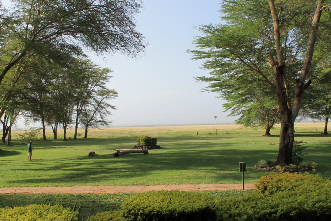 Elephant view Ol Tukai Lodge