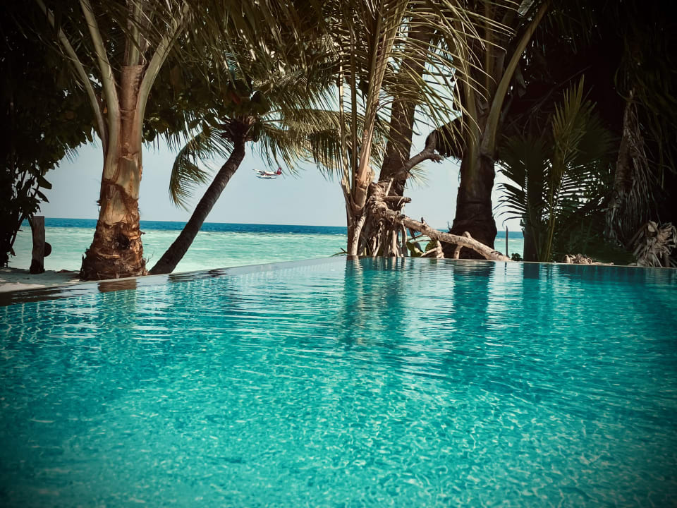 Pool Furaveri Maldives