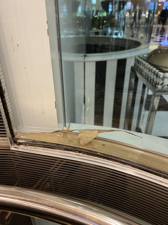 Sonstiges Hotel Delphin Imperial