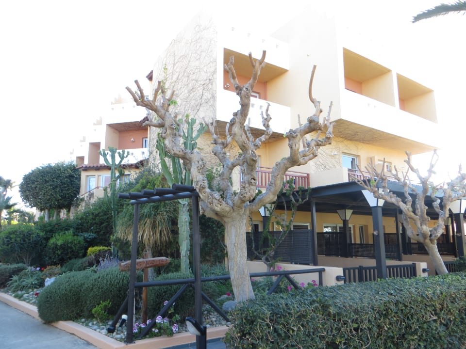 Ein Rundgang durch die Gartenanlage Anissa Beach & Village