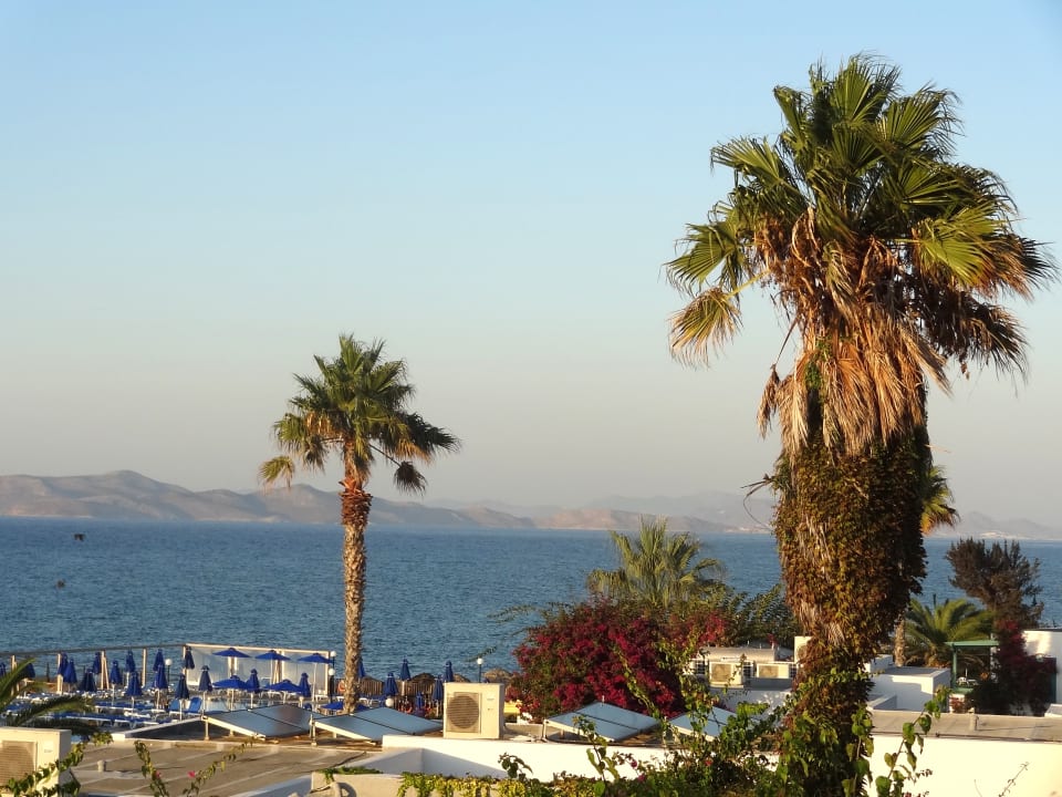Ausblick Mastichari Bay Hotel