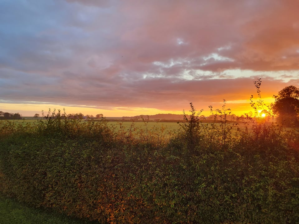 Ausblick Ferienhof Frieslandstern