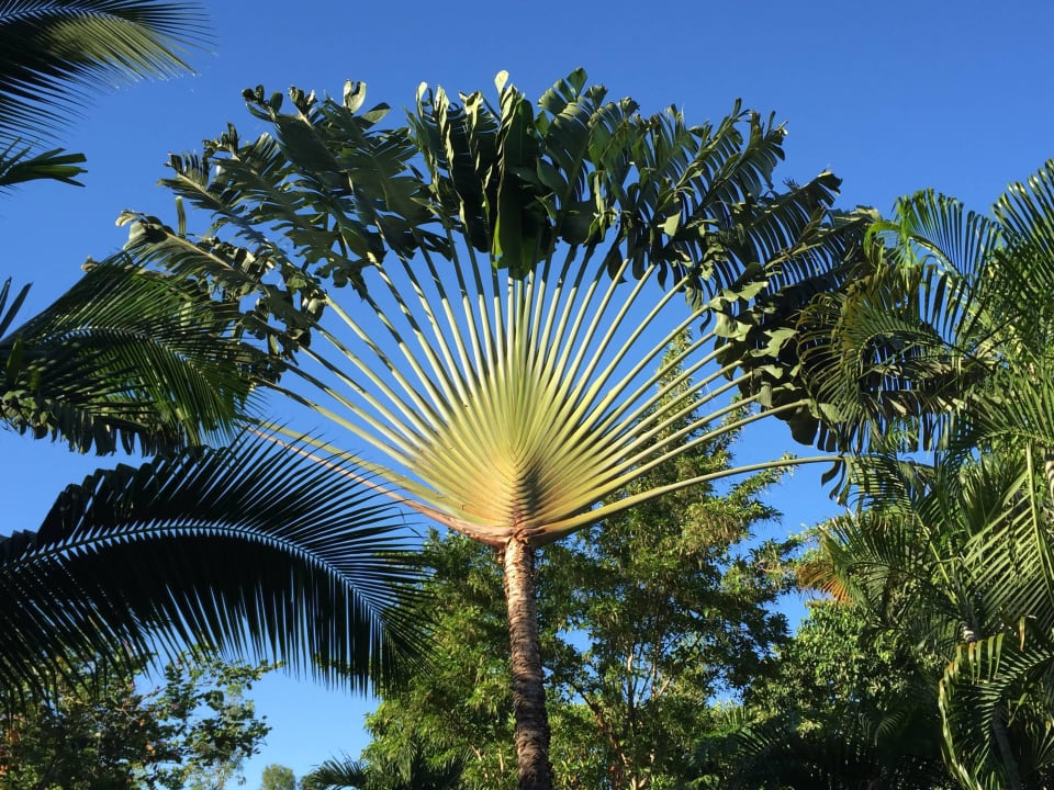 Super Gärtner The Fair House Beach Resort