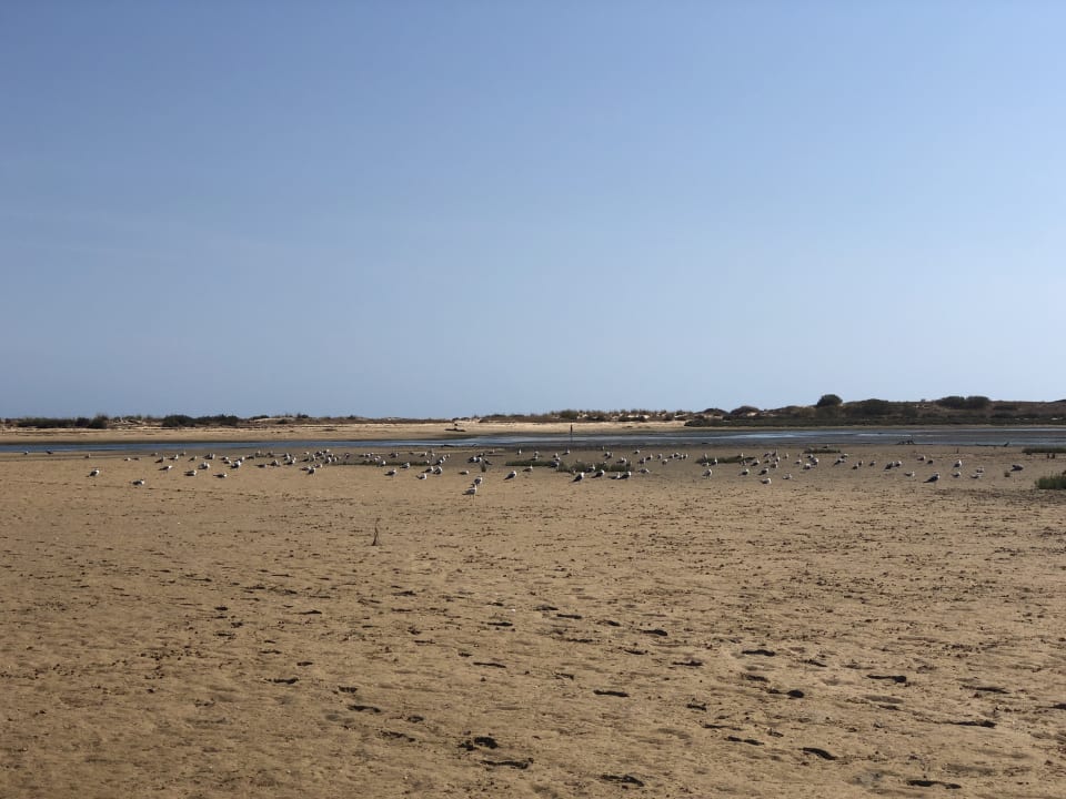 Strand ROBINSON QUINTA DA RIA