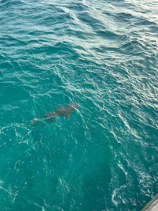 Ausblick Kuredu Island Resort & Spa