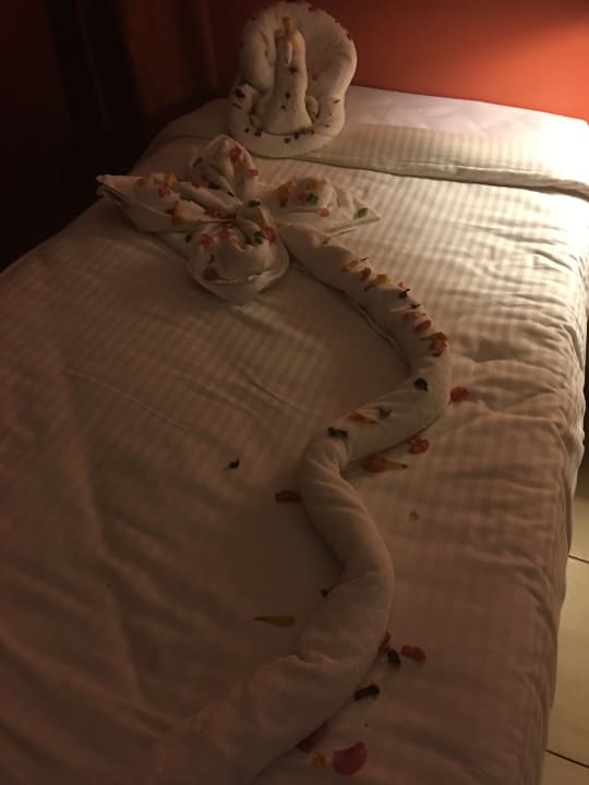 Zimmer Riviera Aqua Park Resort