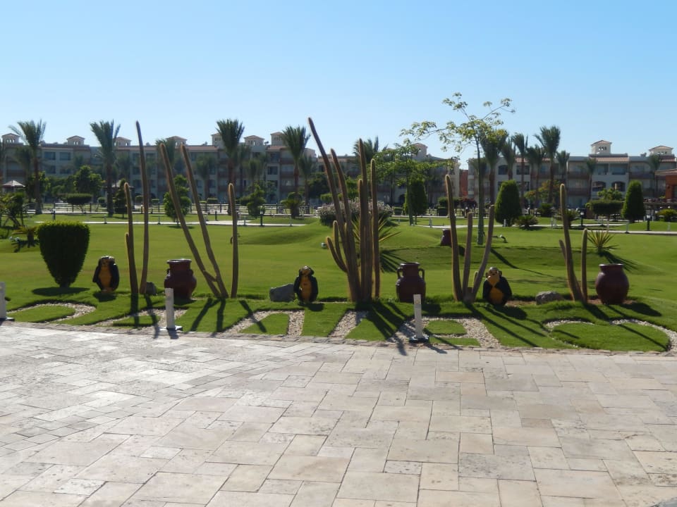 Affen.... Pickalbatros Dana Beach Resort - Hurghada