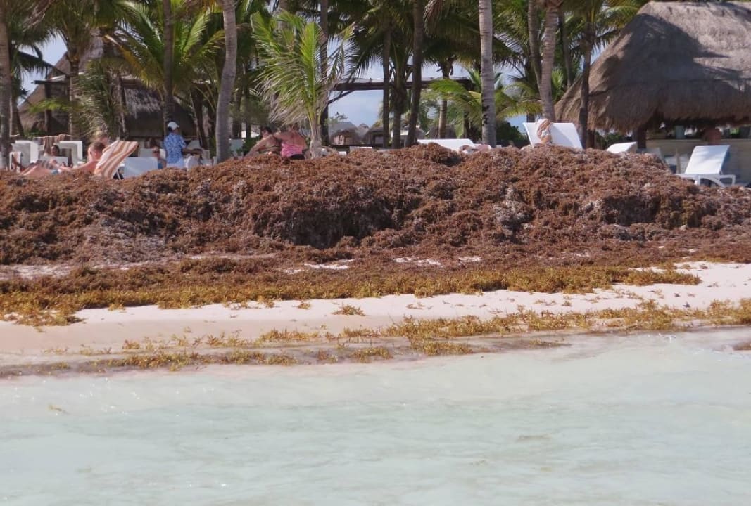 Seegras Catalonia Royal Tulum Beach & Spa Resort - Adults only