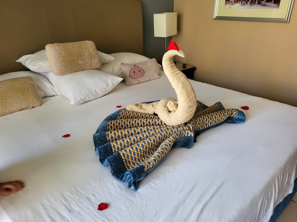 Zimmer Jaz Bluemarine