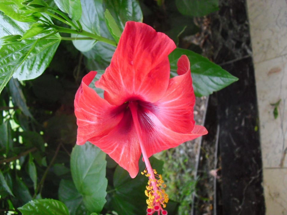 Schön Bella Resort & Spa