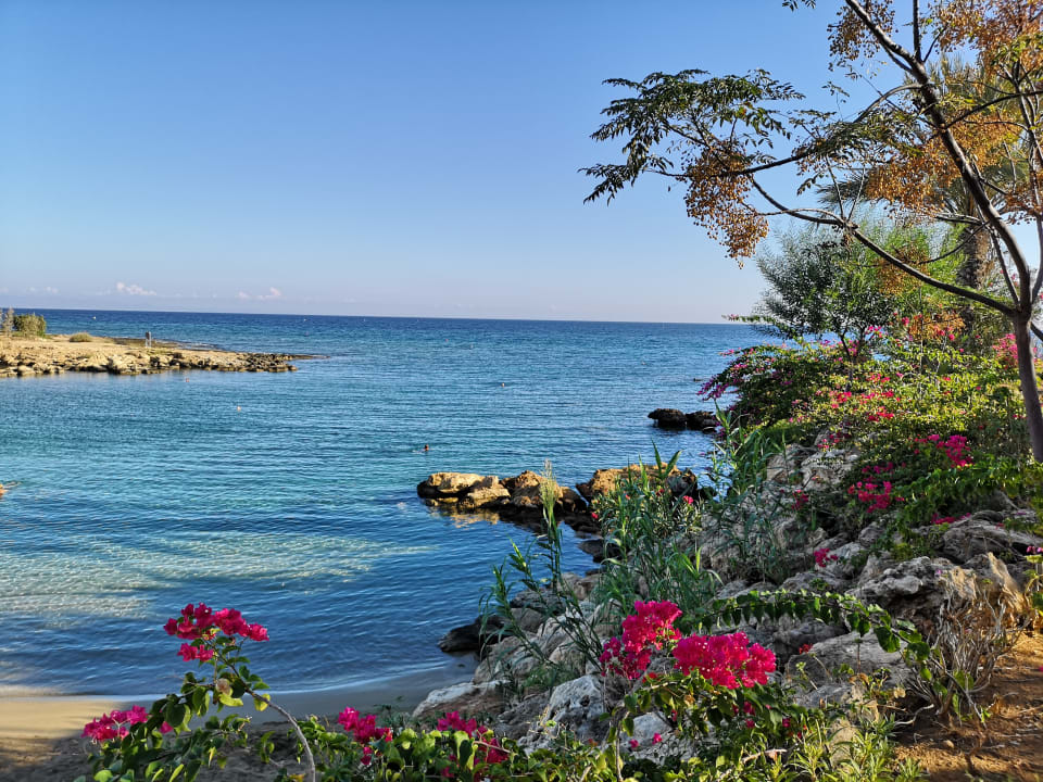 Ausblick Crystal Springs Beach Hotel