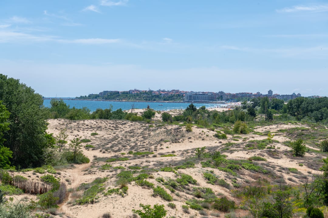 Ausblick Hotel Bavaro