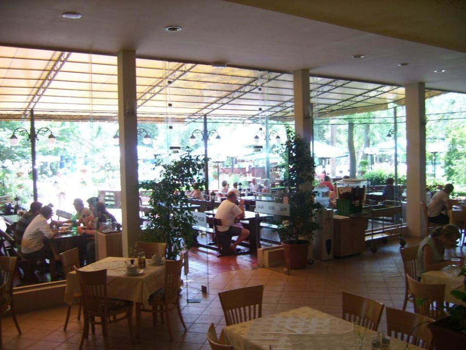 Restaurant -1- HVD Club Bor