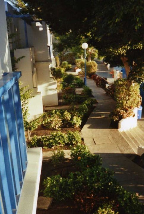 Ausblick vom Balkon oben Hotel Bungalows Duna Flor