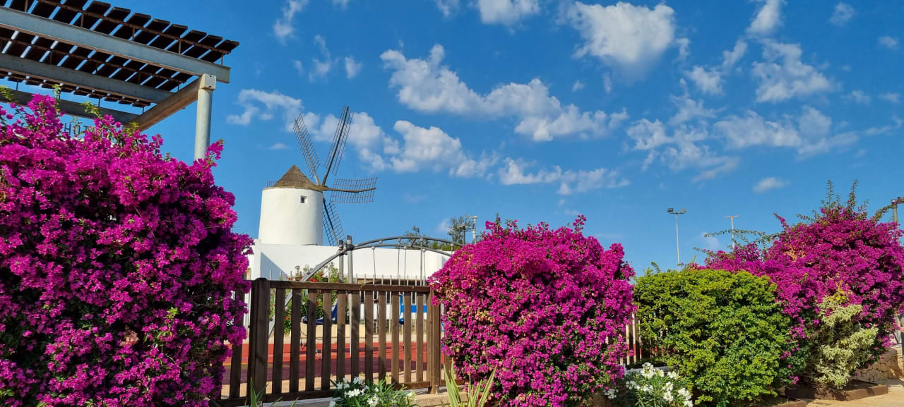 Außenansicht Bellamar Hotel Beach & Spa