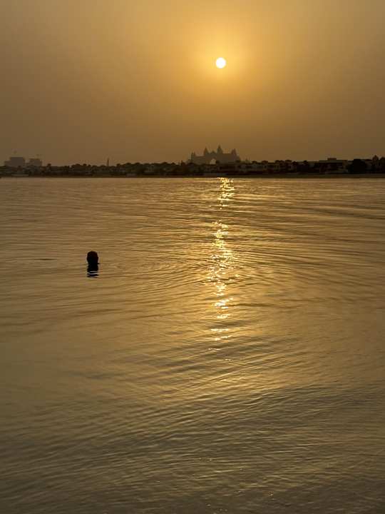 Strand Rixos The Palm Hotel & Suites